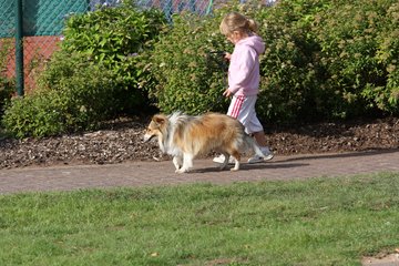 Bild 299 - 11.HSP - 2008